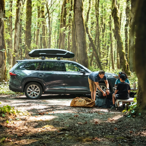 Thule Force XT Dachbox